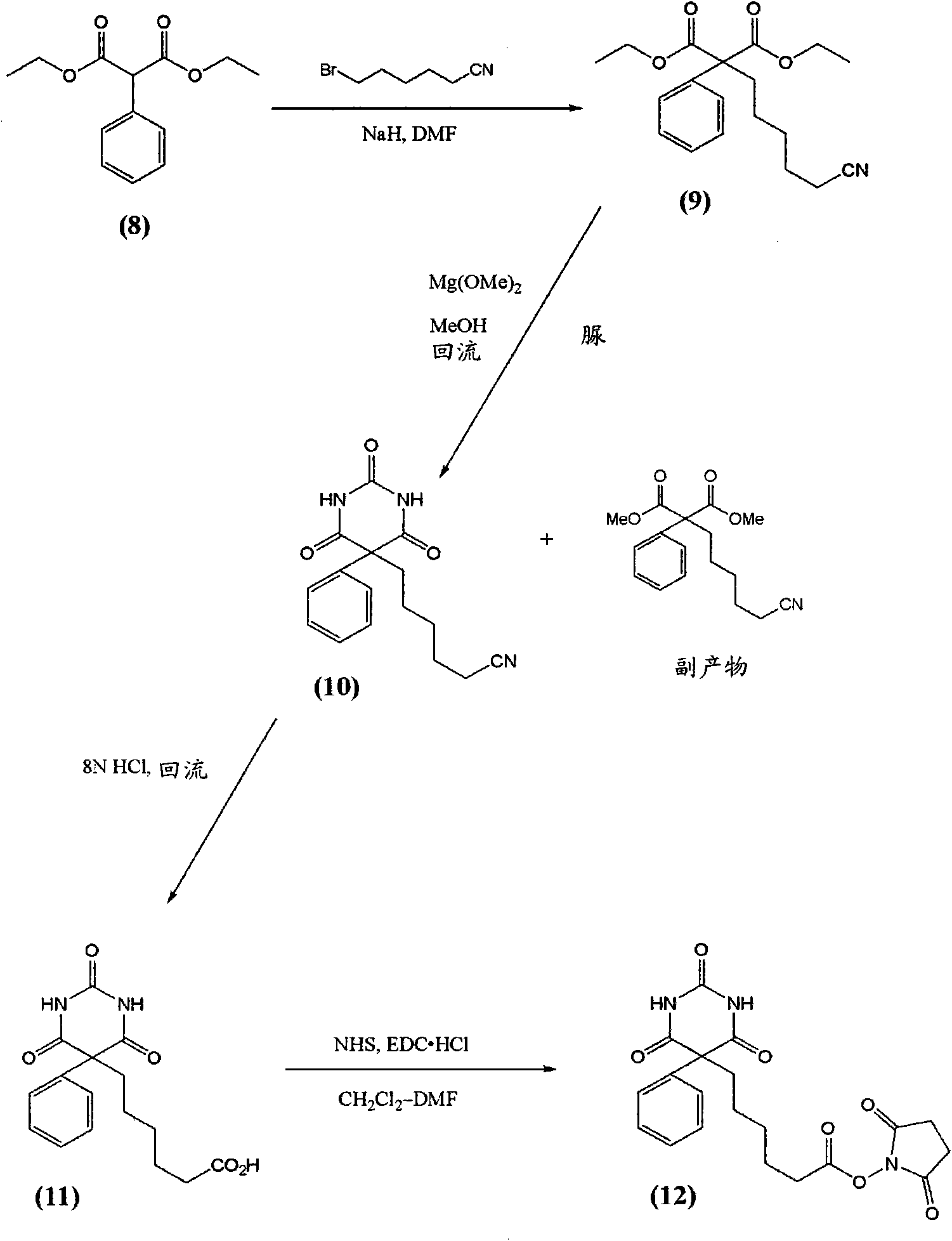 Phenobarbital derivatives useful in immunoassay