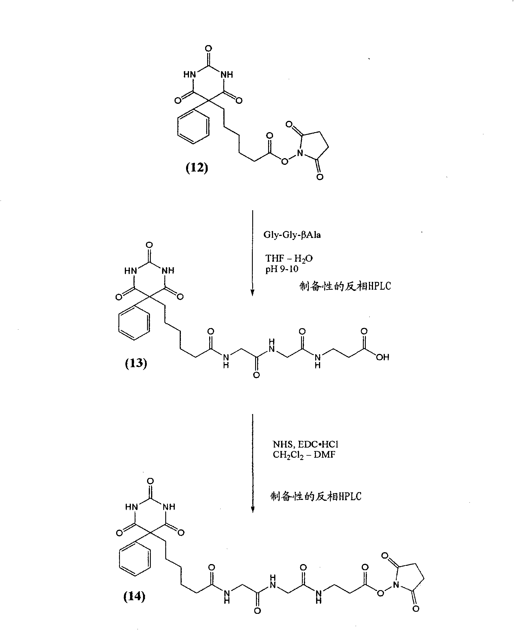 Phenobarbital derivatives useful in immunoassay