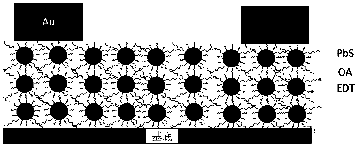 A kind of preparation method of quantum dot photodetector