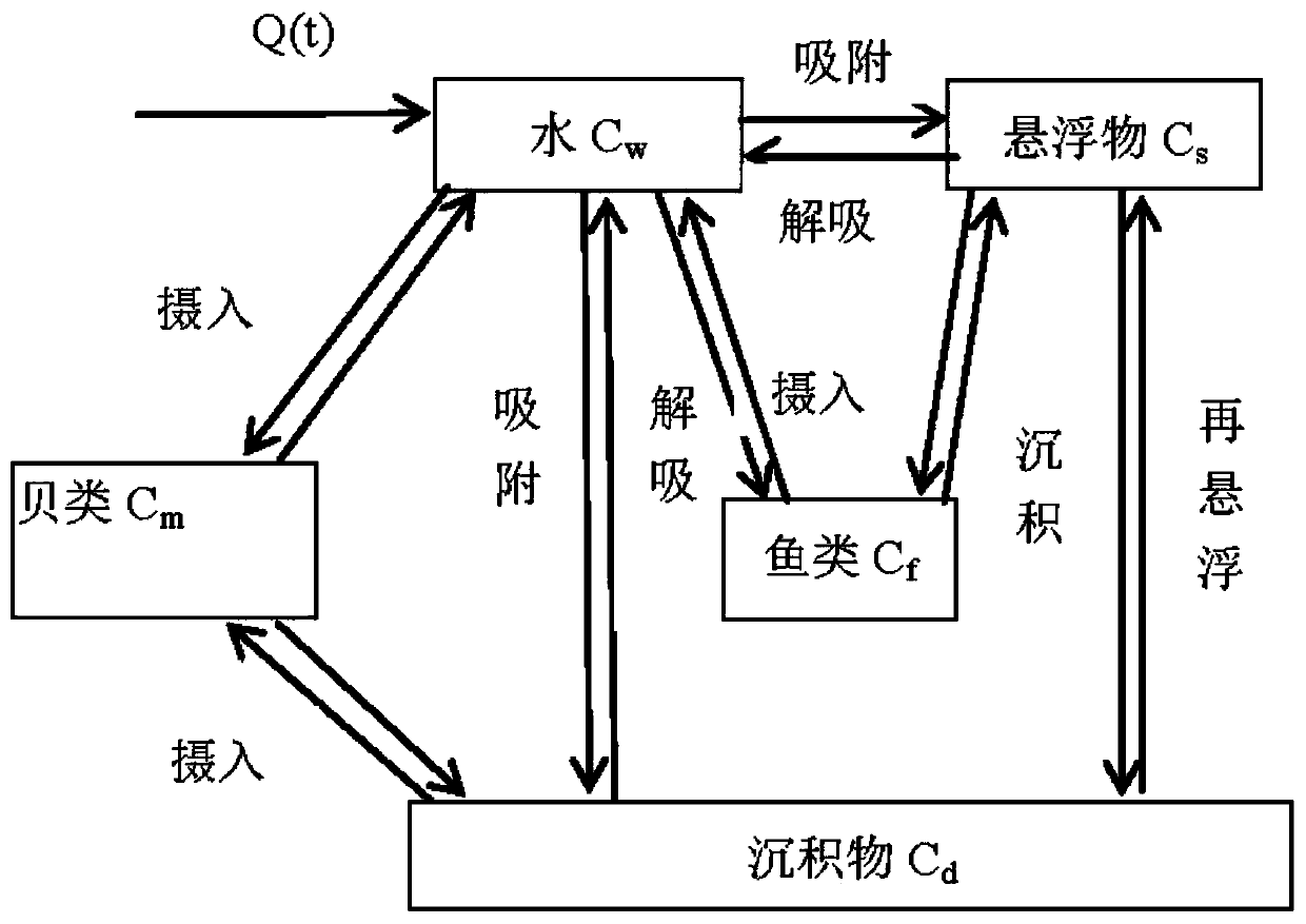 Method for calculating concentration of radionuclide from surface water discharging approach to aquatic organisms