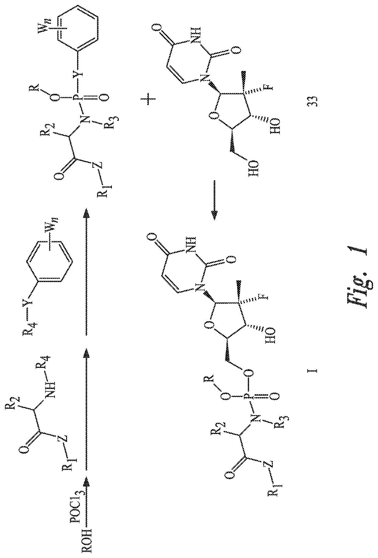 Uridine phosphoramide prodrug, preparation method therefor, and medicinal uses thereof