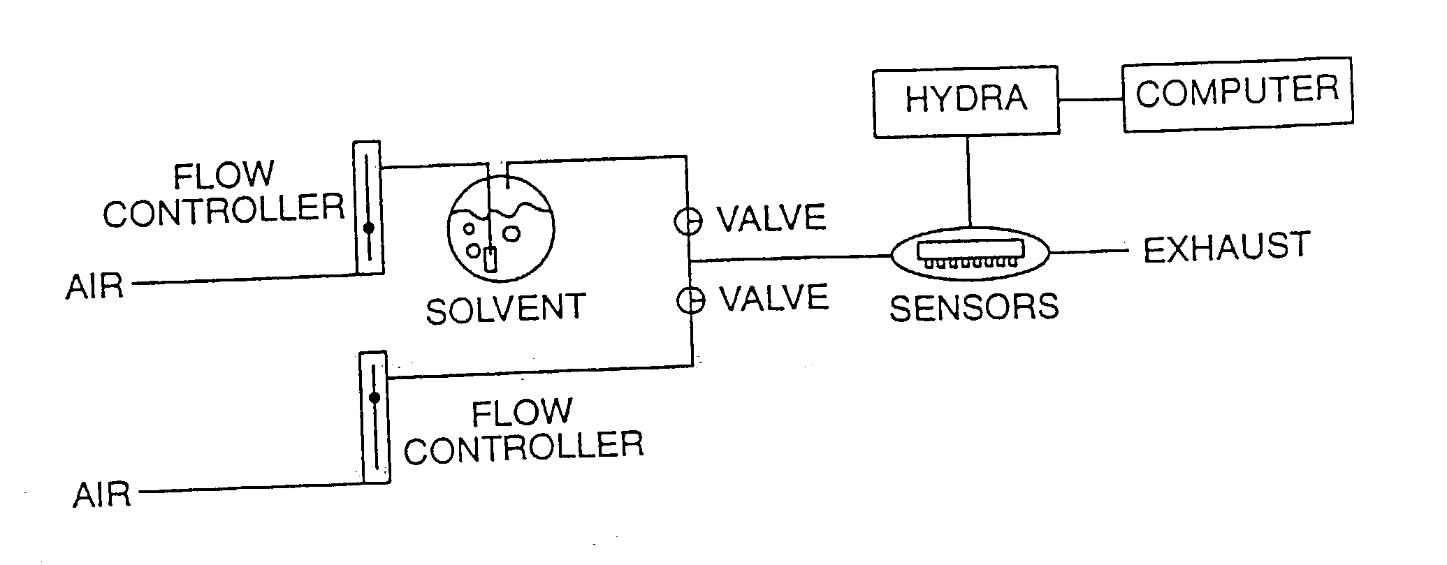 Sensor arrays for detecting analytes in fluids