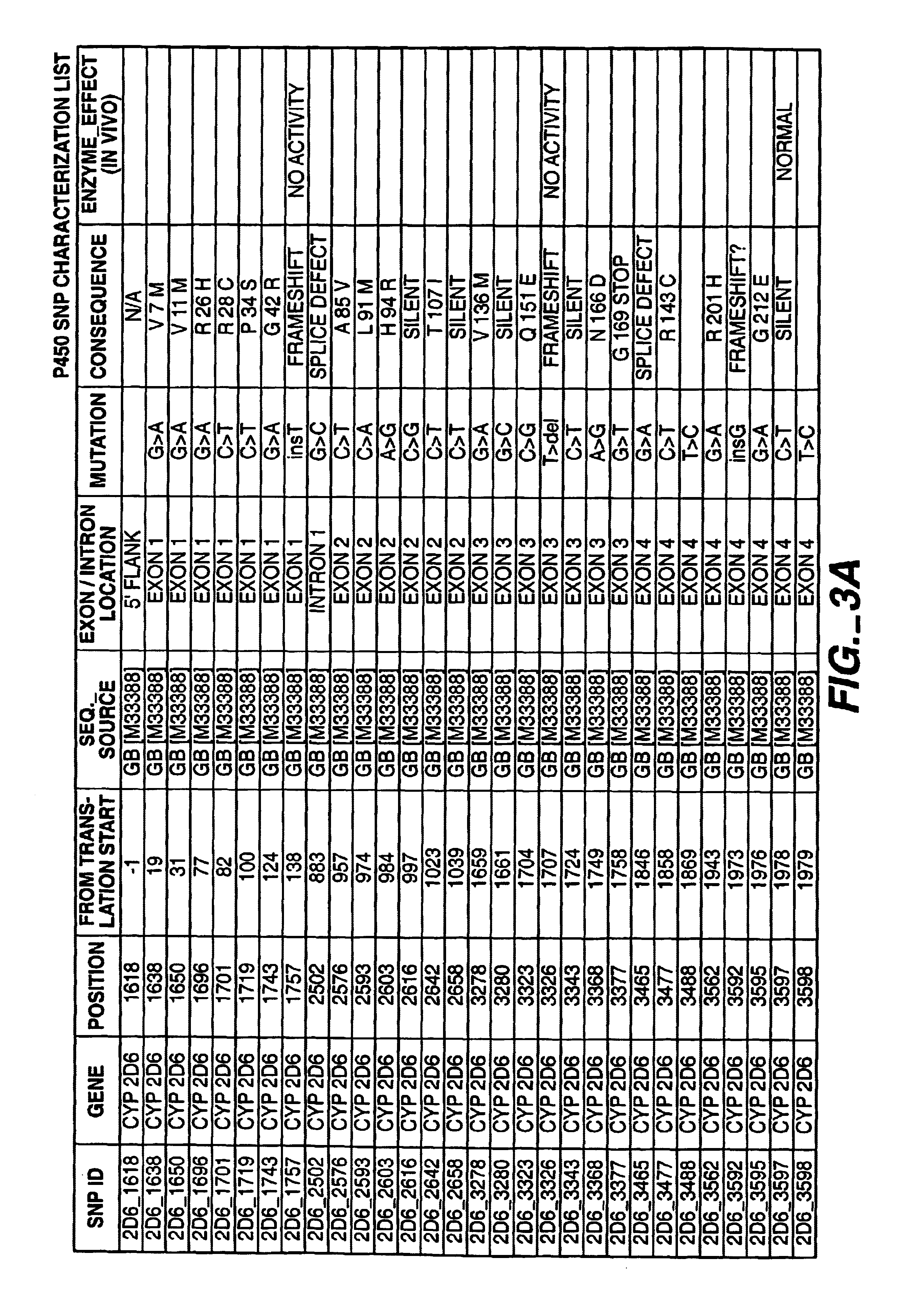 P450 single nucleotide polymorphism biochip analysis