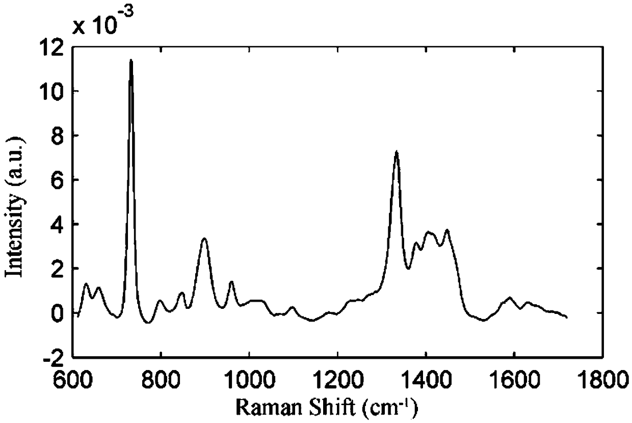 Circulating tumor cell detection method based on SERS (Surface-enhanced Raman Scattering)