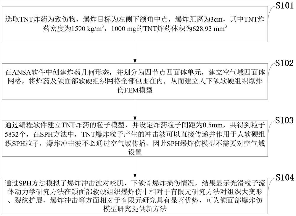 Human maxillofacial region explosion injury simulation and biomechanical simulation method, system and medium