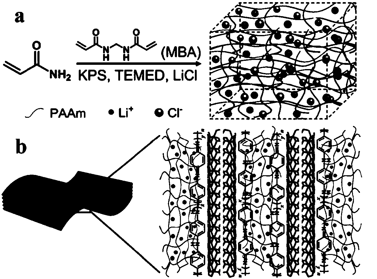 Flexible and tailorable solid super capacitor and preparation method thereof