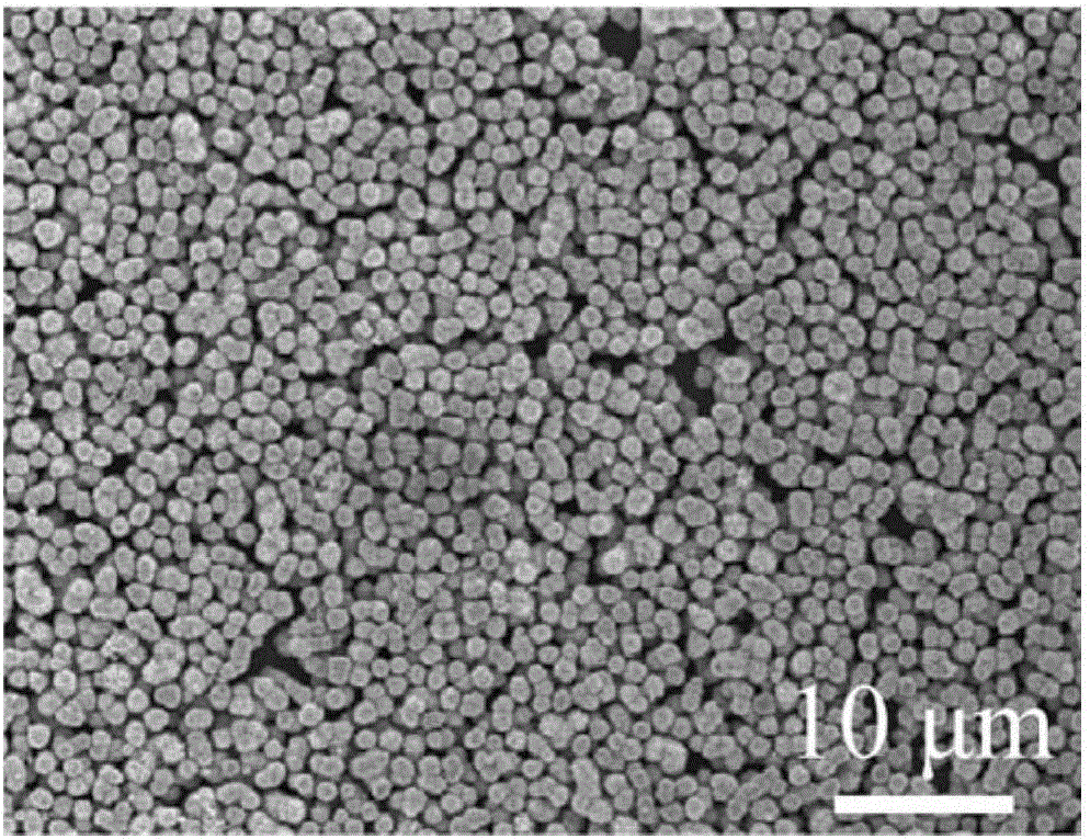 Dandelion-like Ag/WO3-x micro-nanostructured composite material-based SERS substrate, and preparation method and application thereof