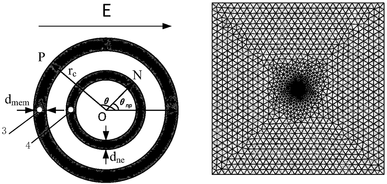 Device and method for targeted ablation of cells, medium and electronic device