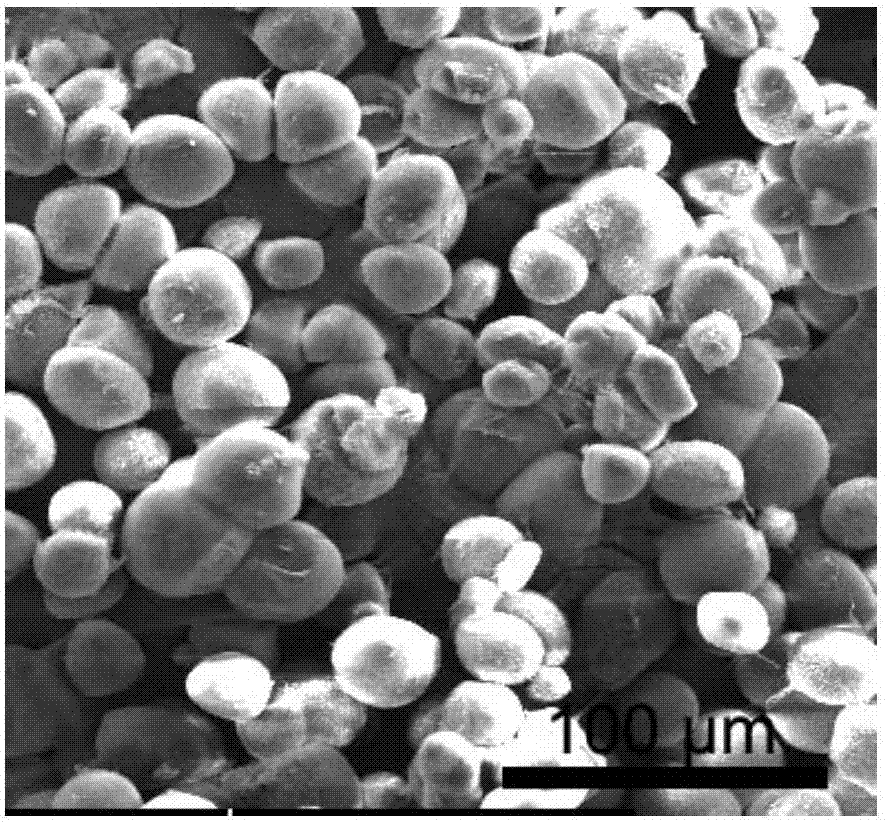 Polypropylene powder for selective laser sintering and preparation thereof