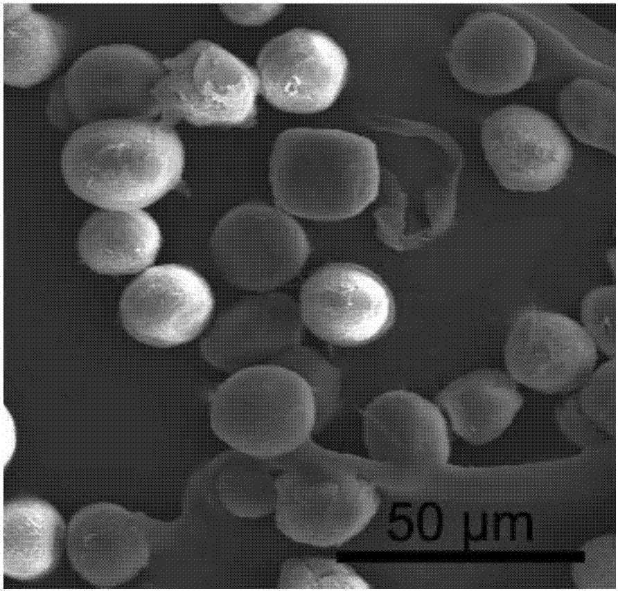 Polypropylene powder for selective laser sintering and preparation thereof