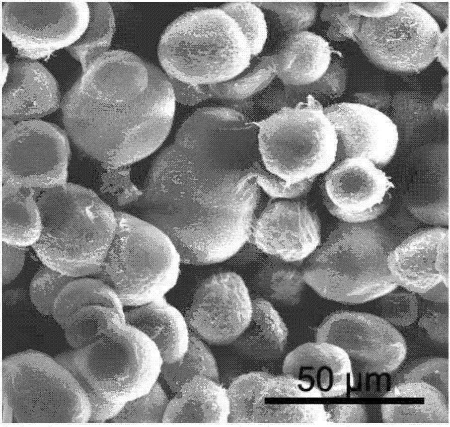 Polypropylene powder for selective laser sintering and preparation thereof