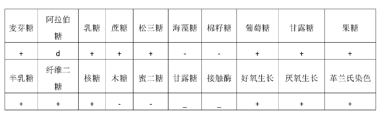 Lactobacillus rhamnosus and application thereof