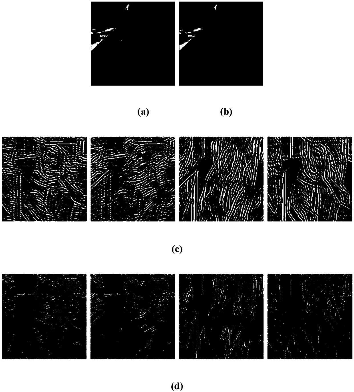 Image fusion method and apparatus based on potentially low rank representation and NSST