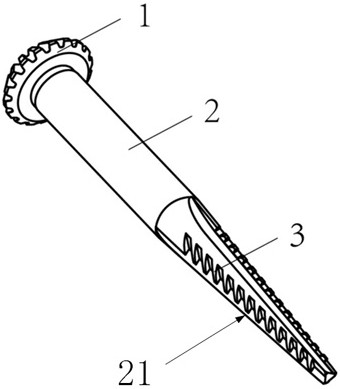A picking spindle for a cotton picker with profiling hook teeth