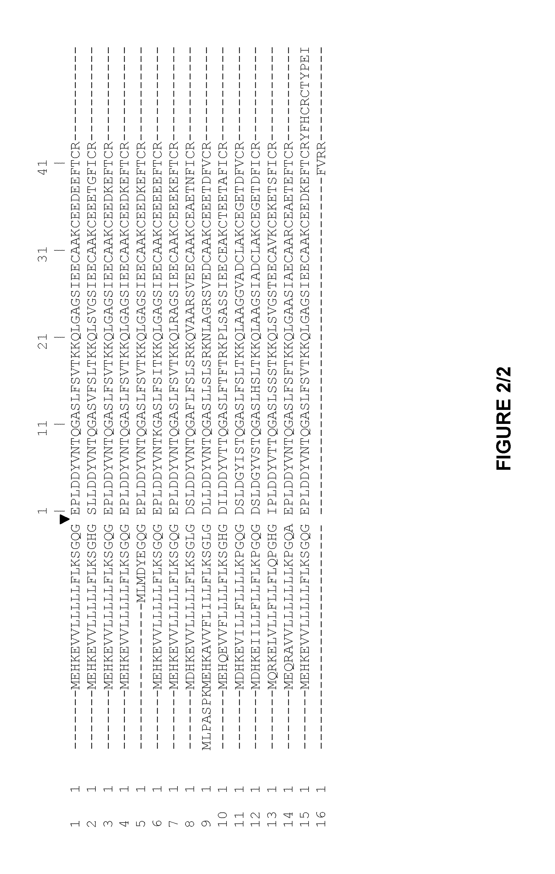 Plasminogen and plasmin variants