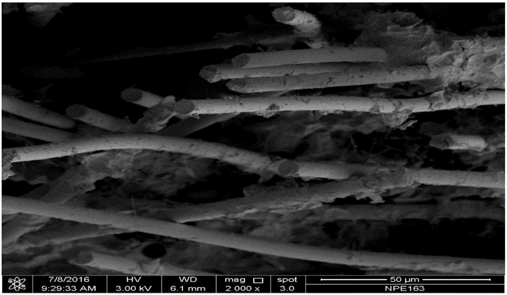 Preparation method of in-situ growth silicon carbide nanowire-reinforced porous carbon composite