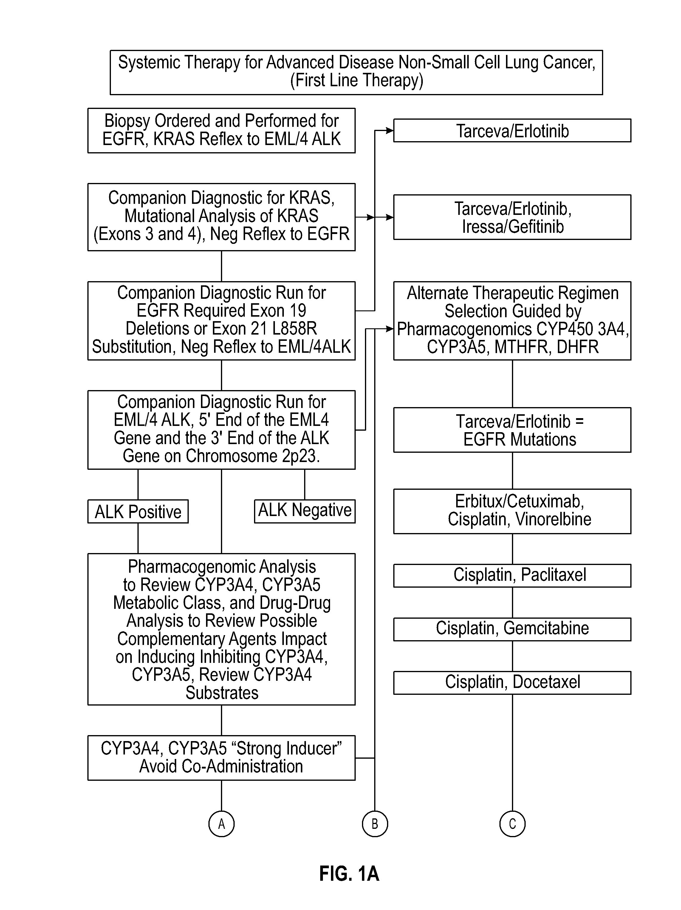 Systems and methods for optimizing drug therapies