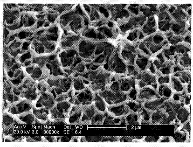 Artificial tooth root with trace element selenium sustained-release function and preparation method thereof