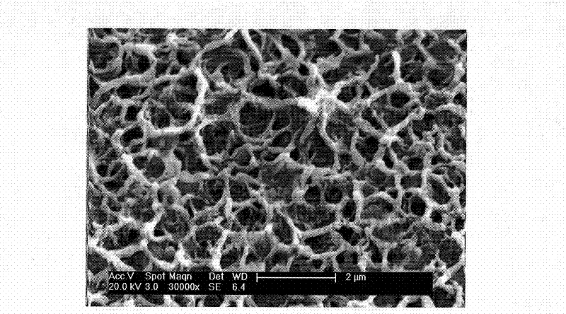 Artificial tooth root with trace element selenium sustained-release function and preparation method thereof