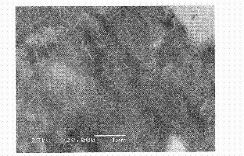 Method for electrodepositing inhibitor anion intercalation hydrotalcite film on surface of magnesium alloy