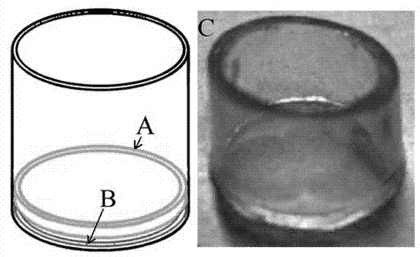 Indirect Dot-ELISA (enzyme-linked immunosorbent assay) method and application of blood group antibody