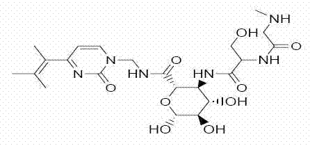 Polyoxin and ningnan mycin compounded pesticide