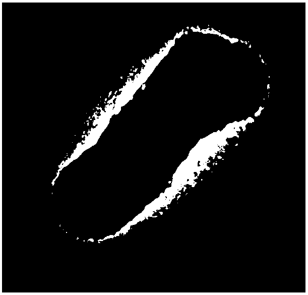 Phthalic acid di(2-ethyl) hexyl ester degrading bacterium as well as culture method and application thereof