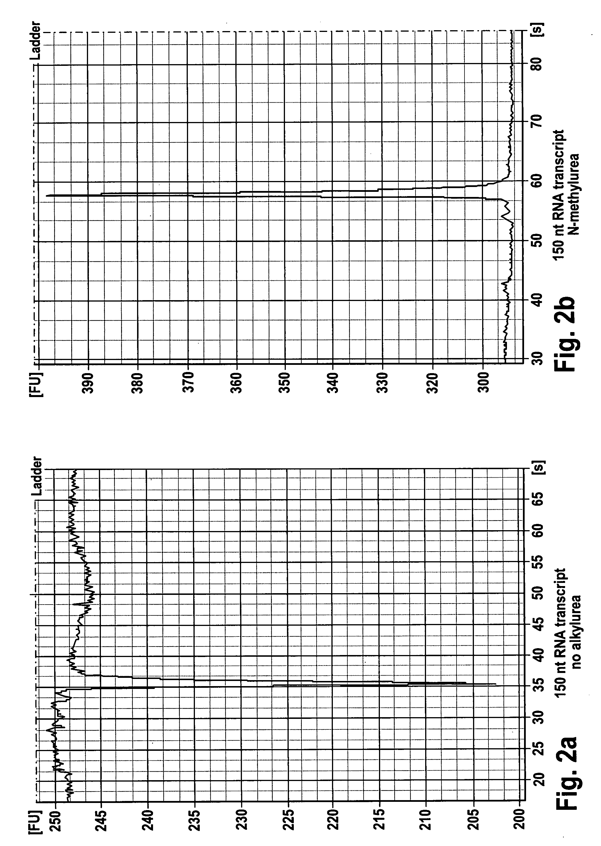 Medium for enhanced staining of single strand nucleic acids in electrophoresis