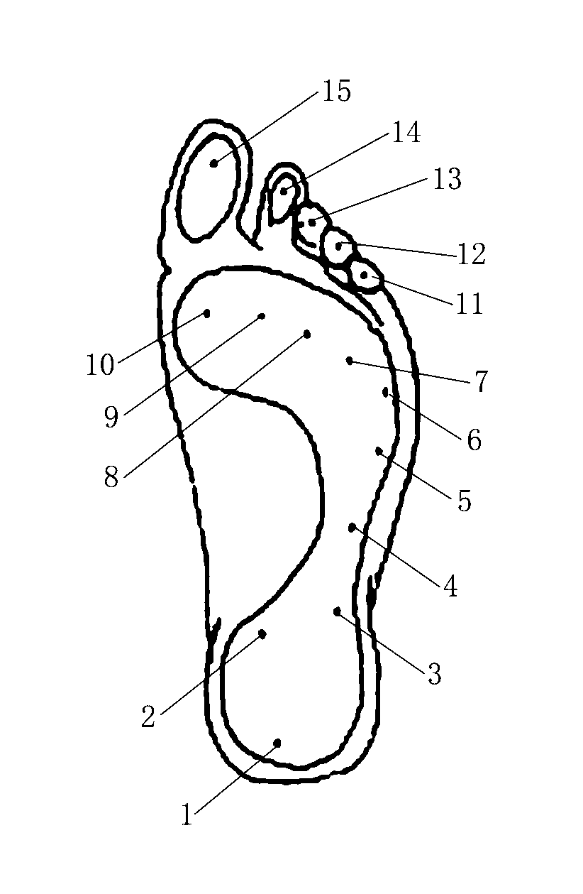 Plantar pressure distribution measuring system