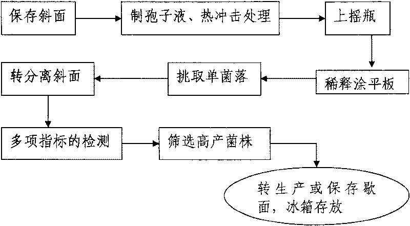 Microbial fertilizer of chelates of composite amino acid for spray irrigation, drop irrigation, and production method