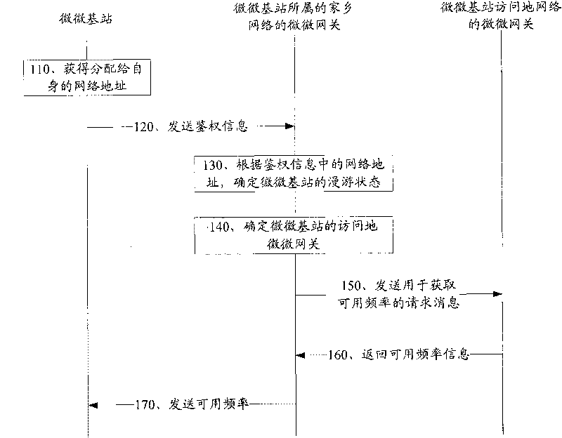 System, method and relevant device for determining usable frequency of micro-micro base station and relevant device