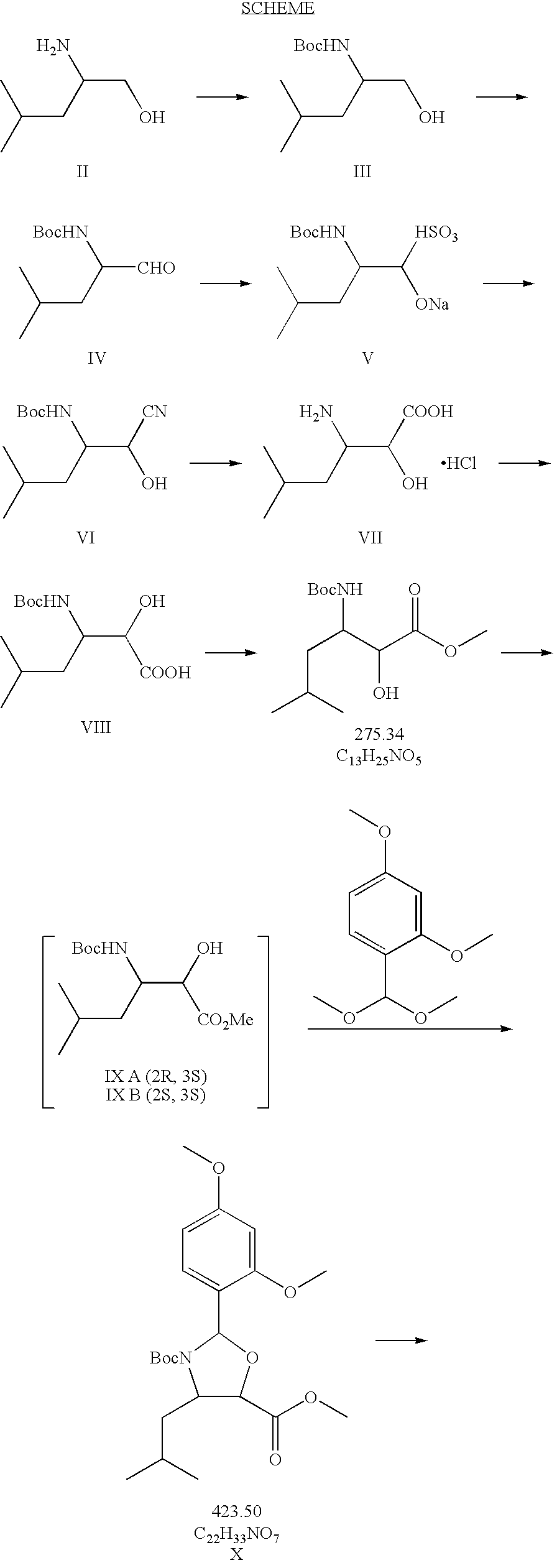 Taxane derivatives and processes for the preparation thereof