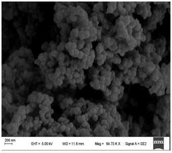 Preparation and application of a cdte/cdse@mips QDs molecularly imprinted polymer