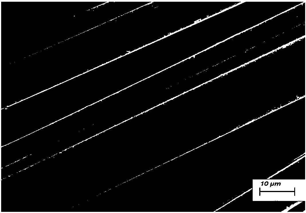 Surface bionic modification method and application of high-performance polyimide fiber