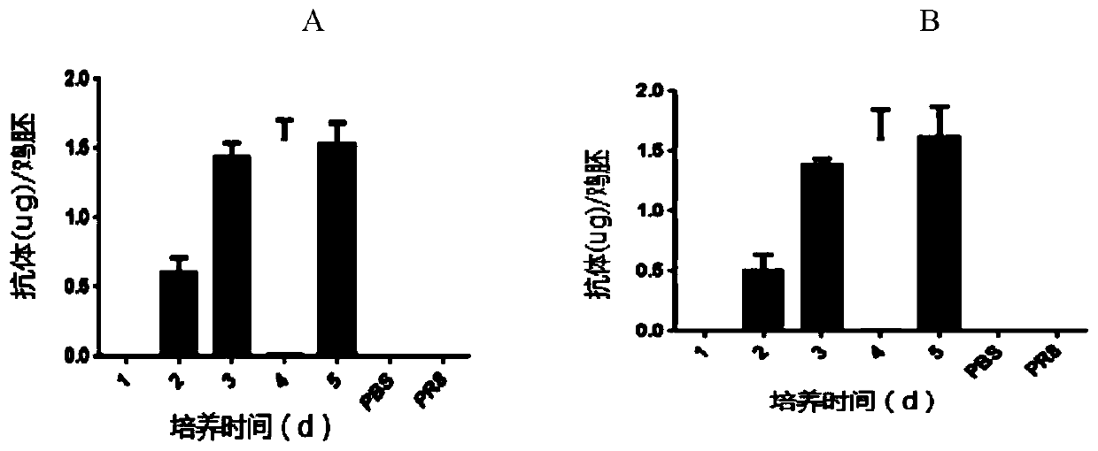 Recombinant influenza virus rescue method and application of the same in tumor therapy