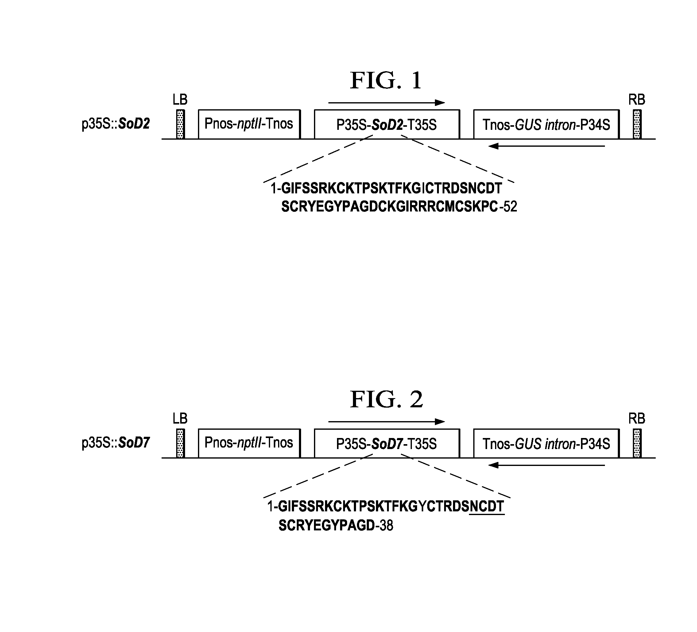 Pathogen resistant citrus compositions, organisms, systems, and methods