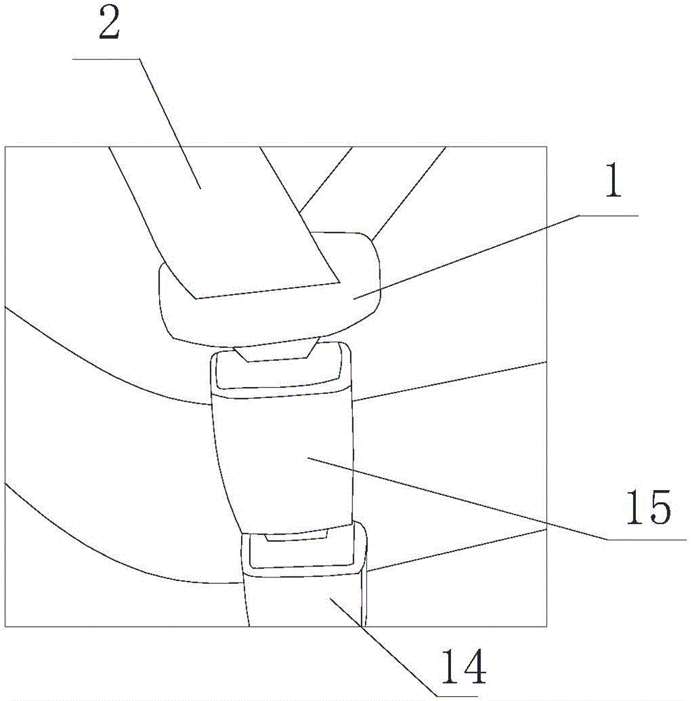 Safety belt device