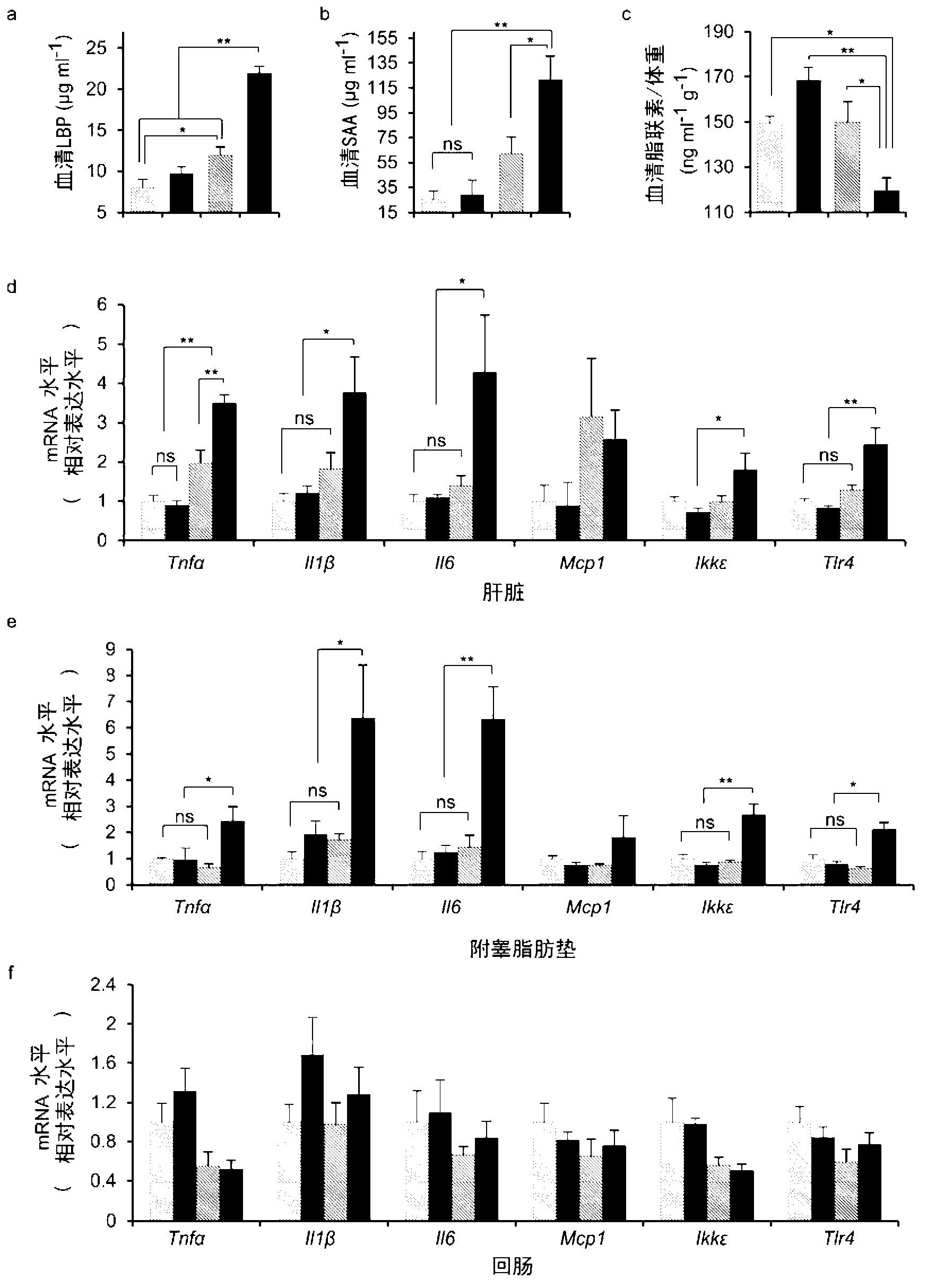 Method of establishing gnotobiotic animal obesity model and application of model