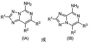 Substituted amino triazolopyrimidine and amino triazolopyrazine adenosine receptor antagonists, pharmaceutical compositions and their use