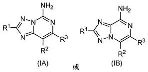 Substituted amino triazolopyrimidine and amino triazolopyrazine adenosine receptor antagonists, pharmaceutical compositions and their use