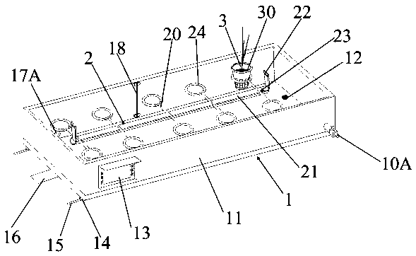 Water planting device for paddy rice