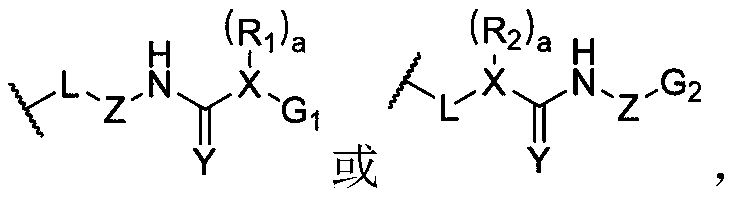 A dynamic polymer elastomer with hybrid cross-linked network and its application