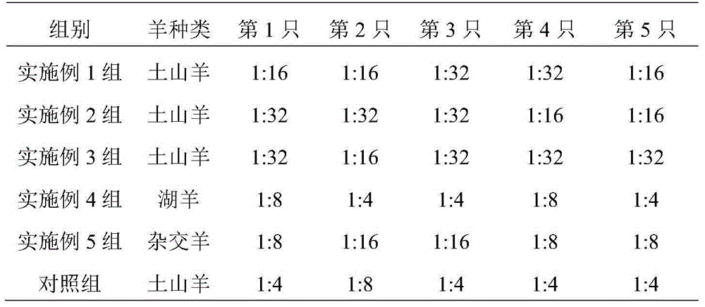 Method for producing goat-anti-human cystatin C protein antiserum