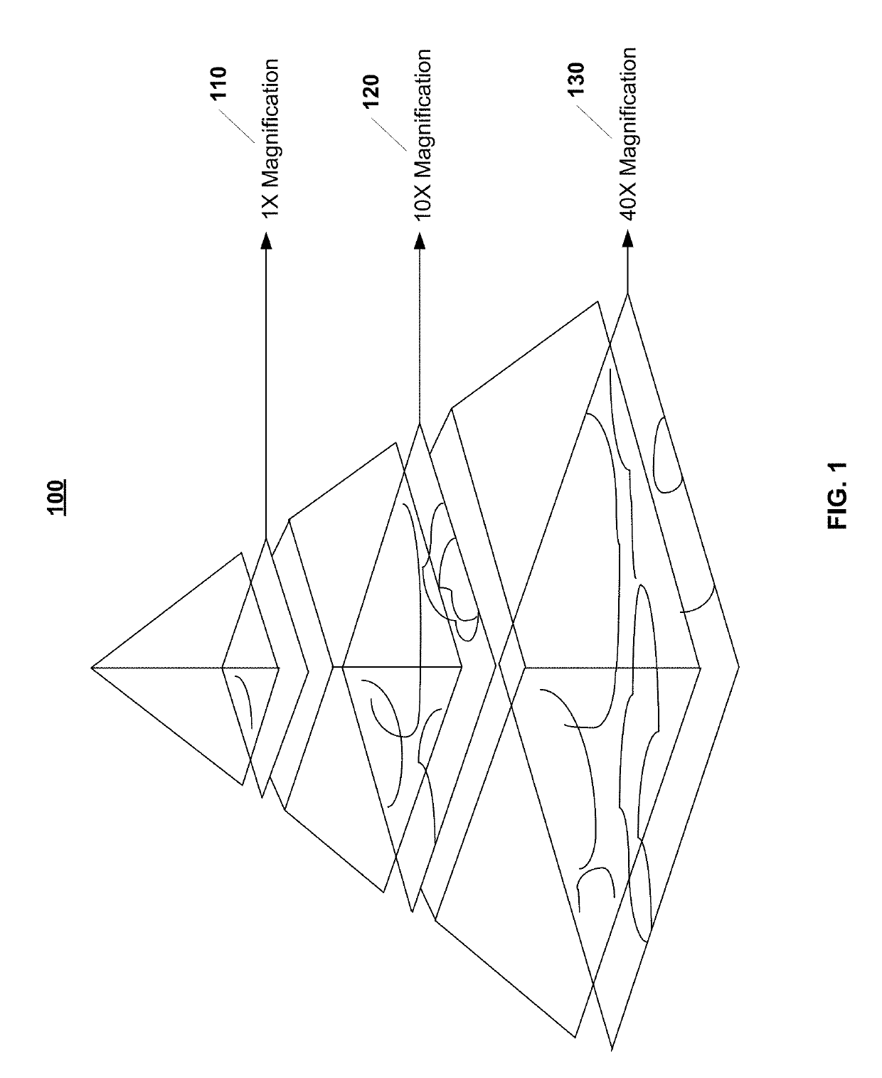 System and method for automatic assessment of cancer