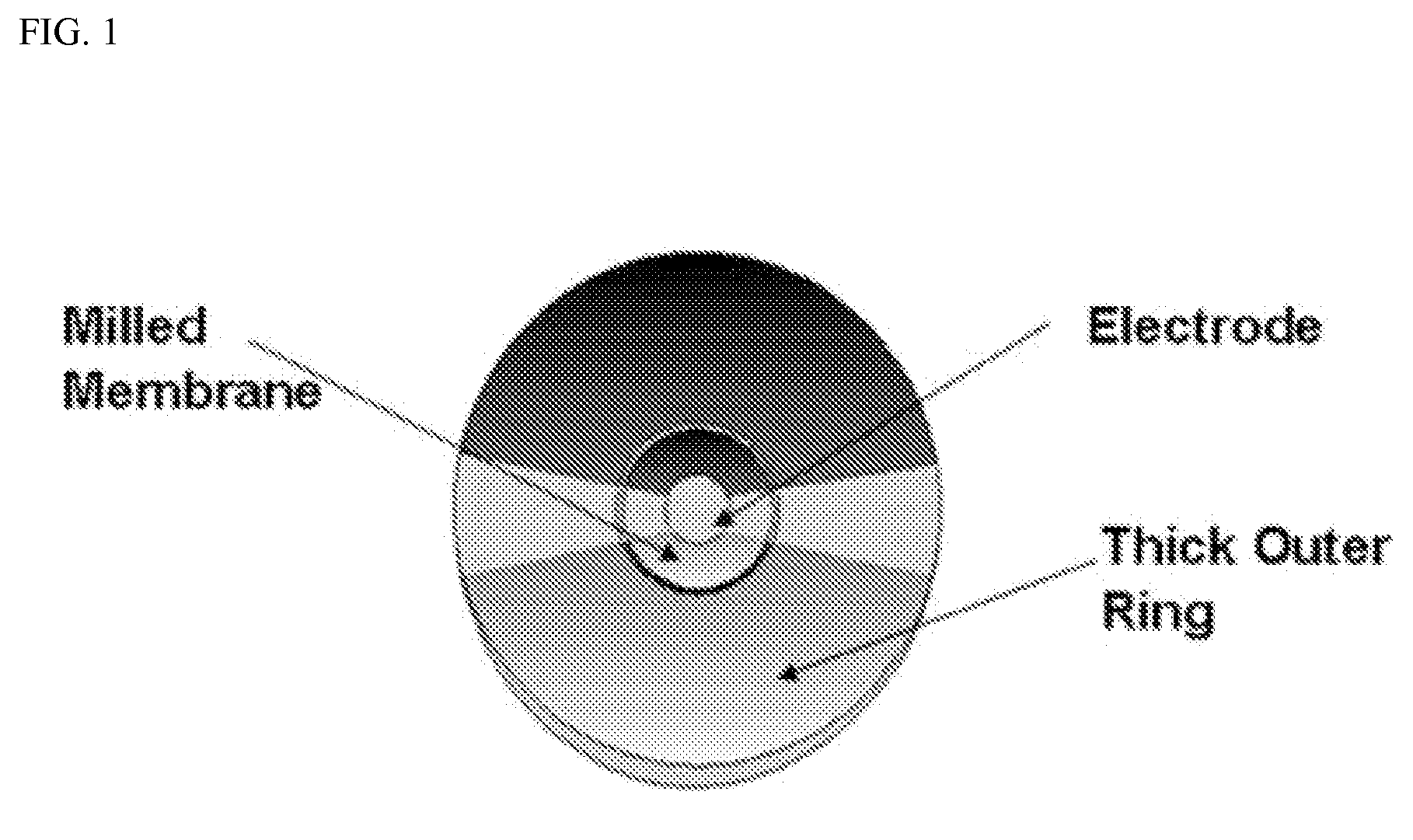 High frequency thickness shear mode acoustic wave sensors for gas and organic vapor detection