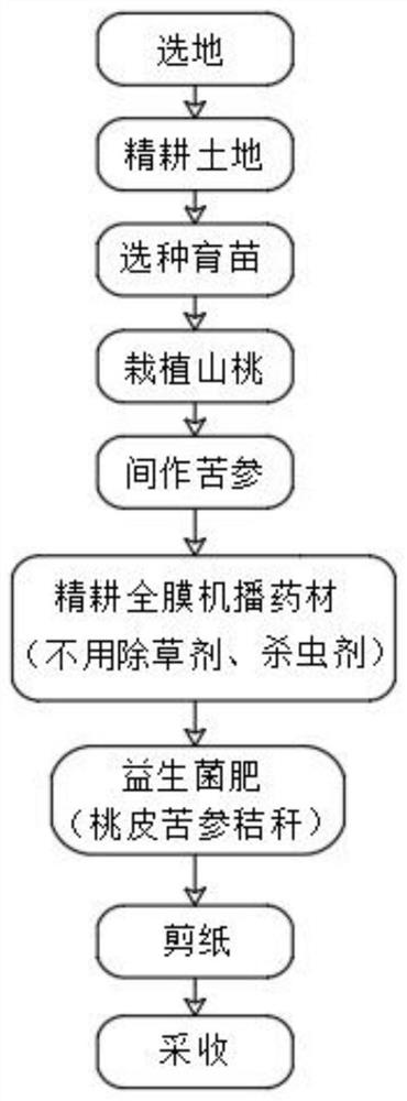 Mountain peach planting device and method