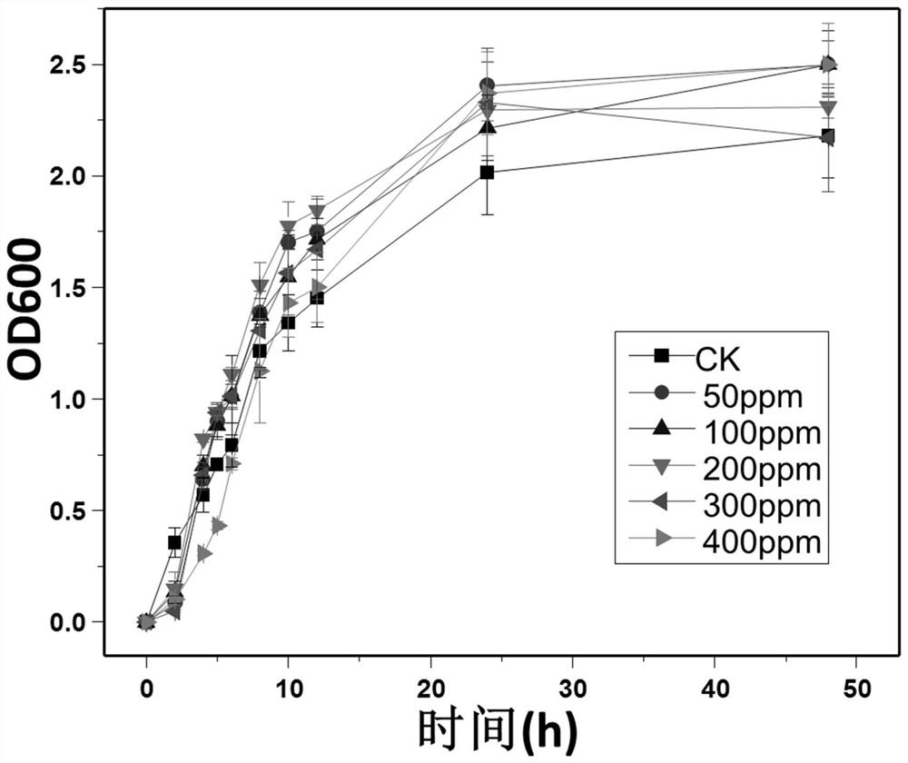 A thermophilic Pb ore-forming bacterium and its method for passivating Pb in sludge high-temperature composting