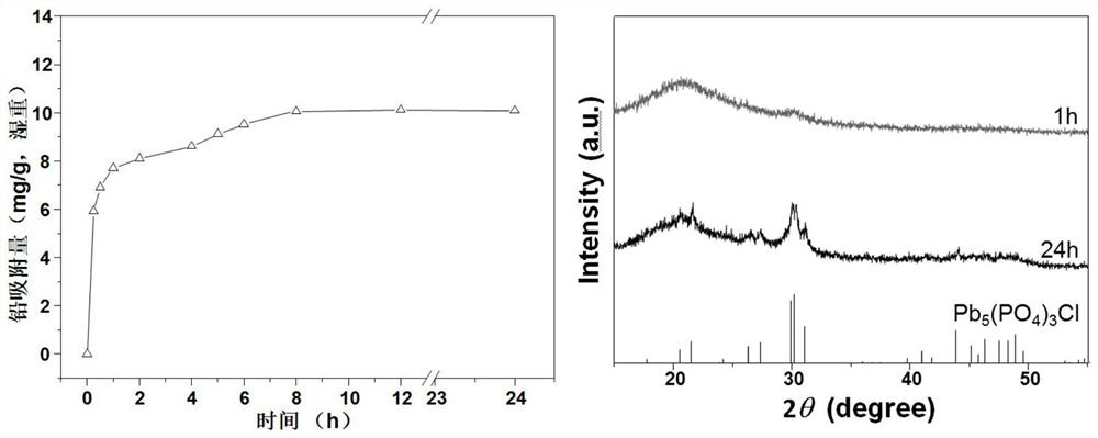 A thermophilic Pb ore-forming bacterium and its method for passivating Pb in sludge high-temperature composting