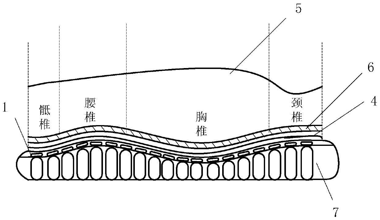 Human body spine health care device, seat and mattress