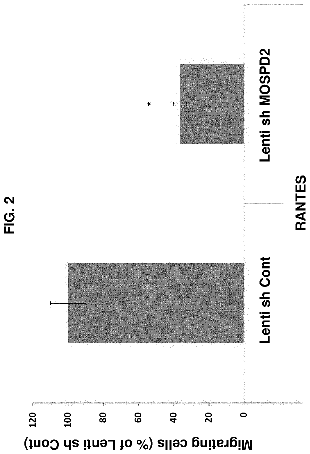 Motile sperm domain containing protein 2 and inflammation